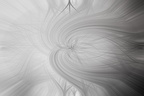 XZ7A6612 (8196 visites) XZ7A6612